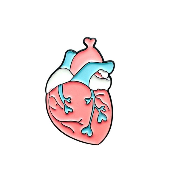 ⭐Anatomical Human Heart Shape Enamel Pin Brooch  Pink Blue Trans Heart Pride New - Picture 5 of 5